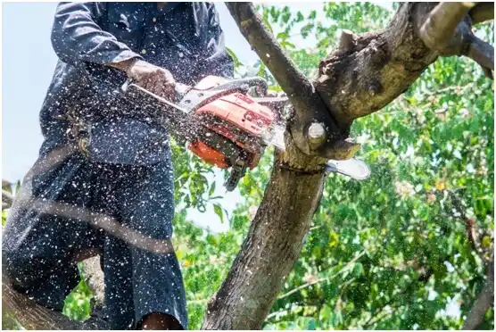 tree services West Livingston